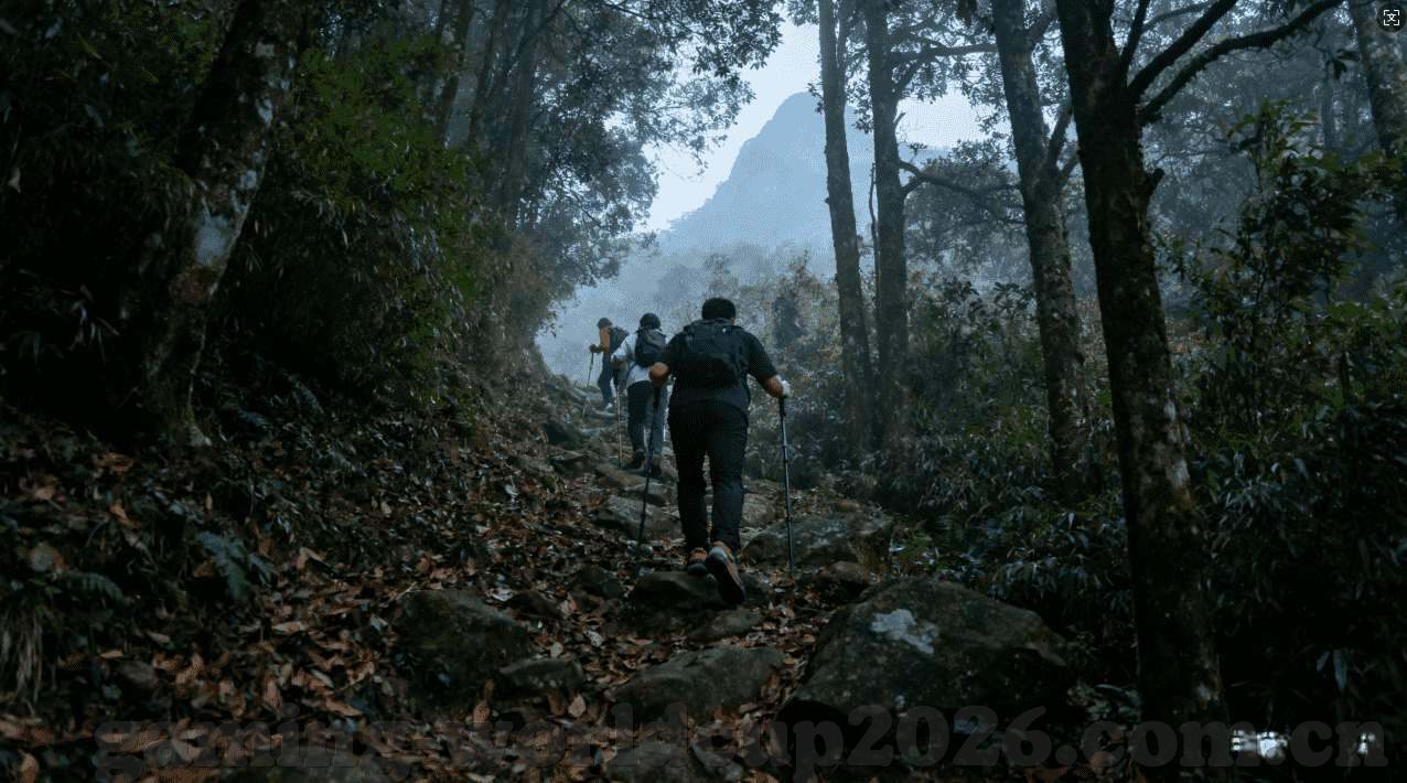 世界杯体彩截止日期-世界杯体彩截止日期，把握时机，畅享激情